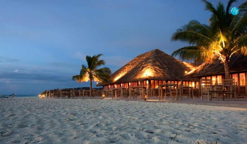 outdoor lighting for restaurants