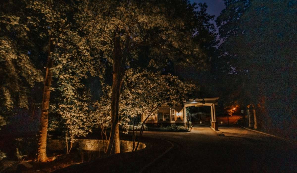 Outdoor Lighting for Plant Lovers, Fence Lighting Outdoor Ambience