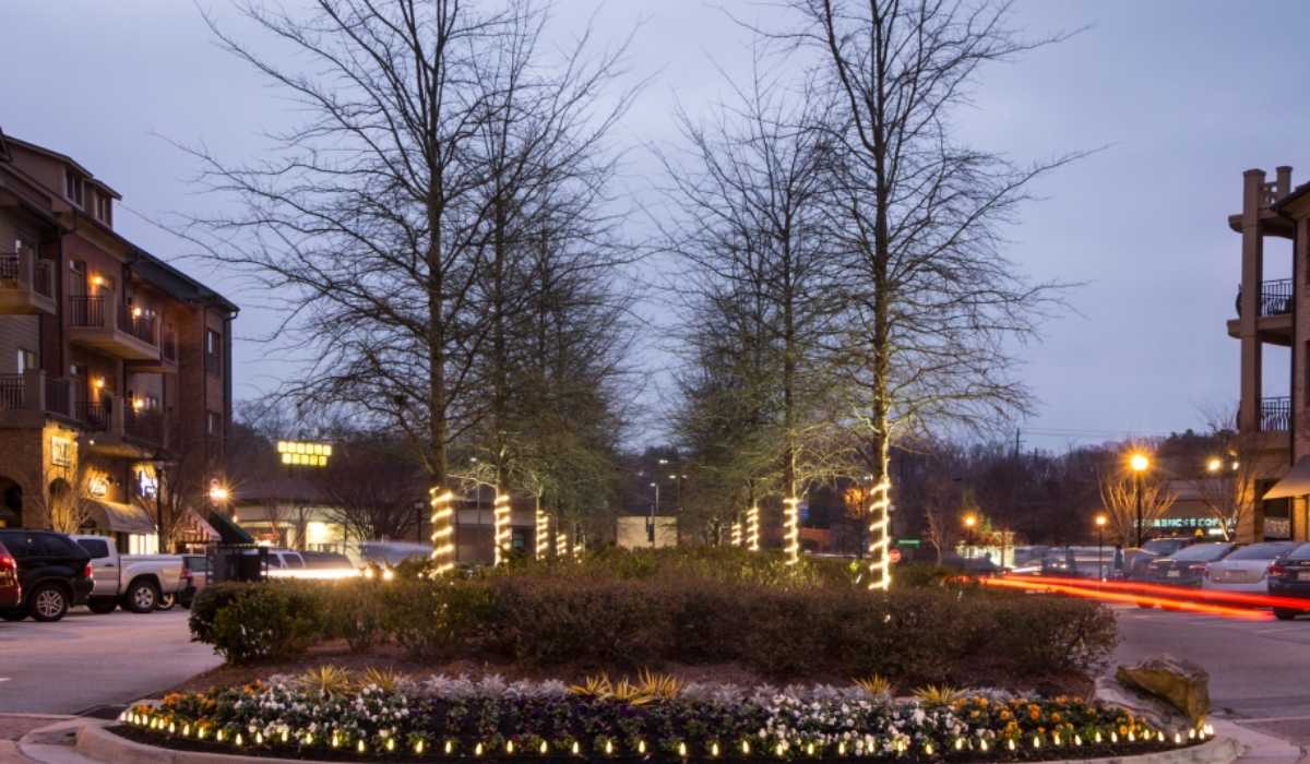 Specialty Lighting Matters