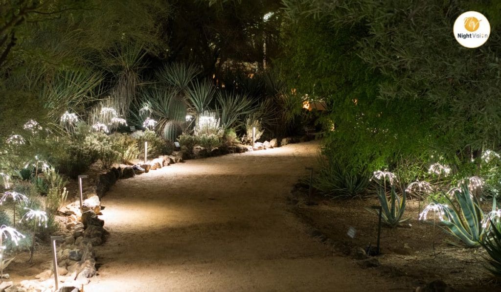 Outdoor Pathway Lighting