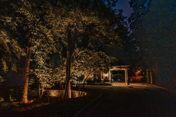 outdoor lighting for backyard parties