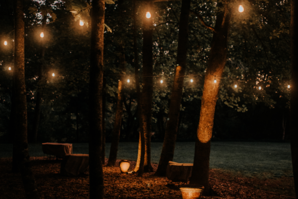 outdoor lighting for backyard parties