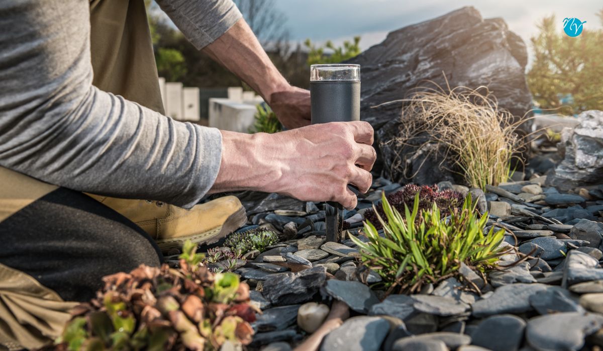 How to Choose the Best Landscape Light Bulb for Your Home