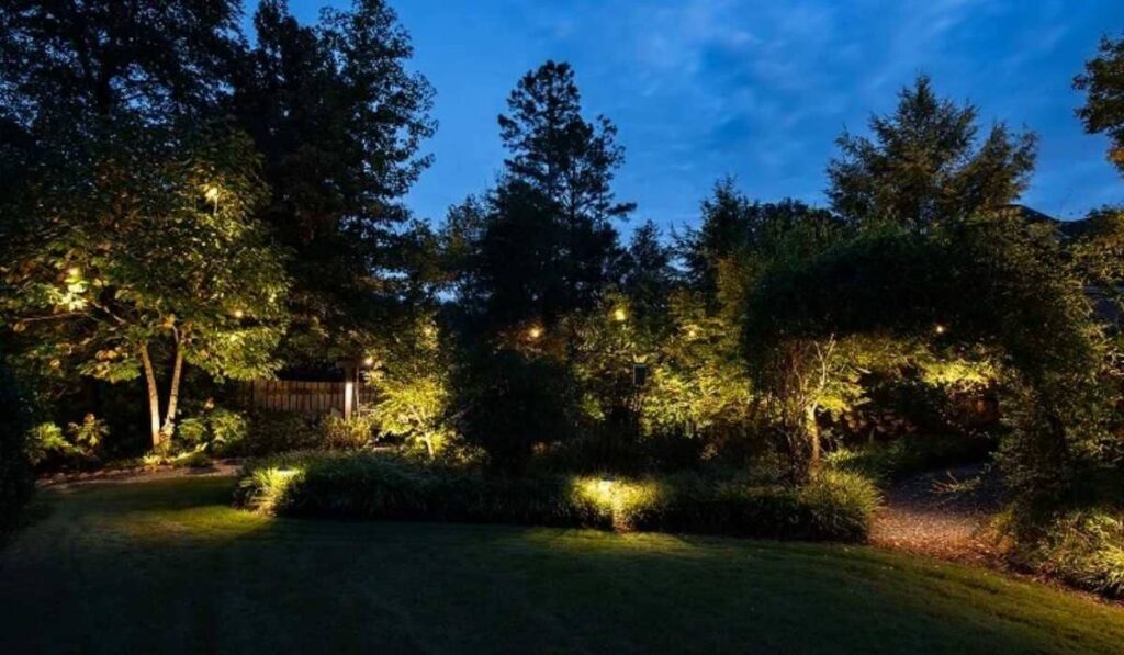 Firefly Section Lighting, Firefly Light Installation