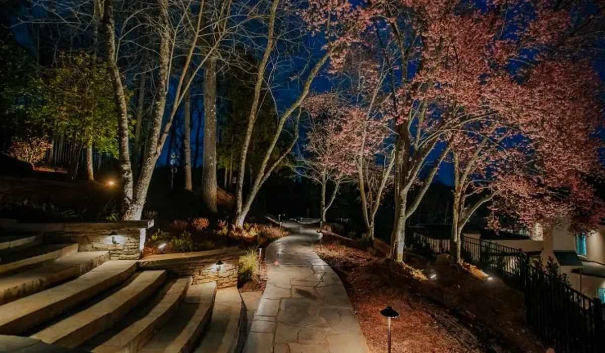 From Design to Installation: Full-Service Landscape Lighting Installers