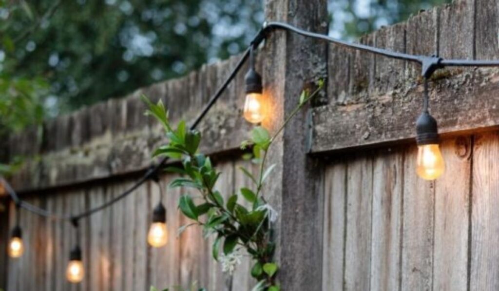 Professional Fence Lighting